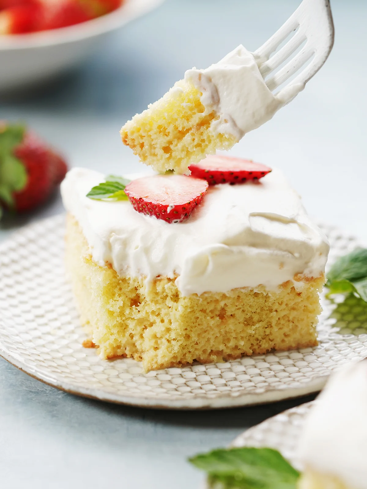 Pastel De Tres Leches (Cake)